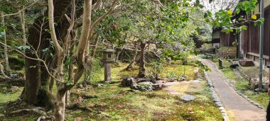 Grounds and Path