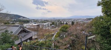 View of City from Temple Complex