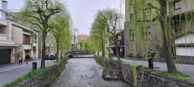 Willows and Houses
