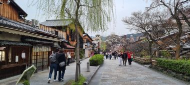 Yamatoooji-Dori