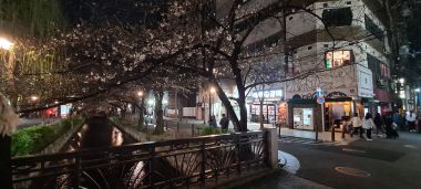 Kiyamachine-dori and Nishi-Kimachie-dori Streets with Canal