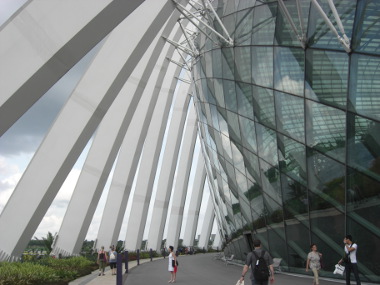 Gardens by the Bay (Outside Flower Dome)