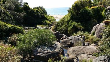 Stanwell Park - Walk to Beach