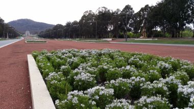 View of the War Memorial in Canberra (near the hotel)