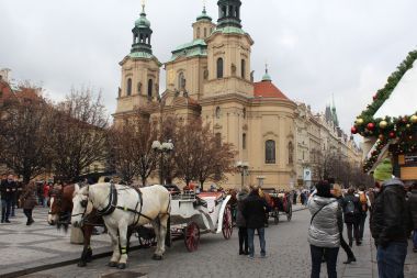 Horse-Drawn Carriages