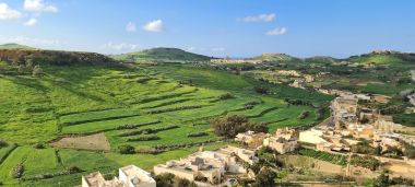 Green Terraces in the Winter