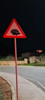 Beware of Hedgehogs