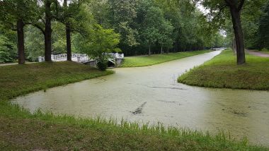 Green Ponds