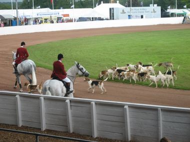 Hunt Demonstration