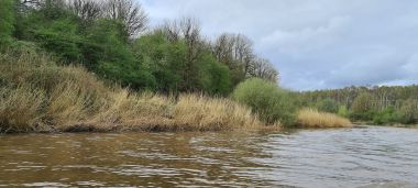 River Weaver Shoreline River Weaver Shoreline