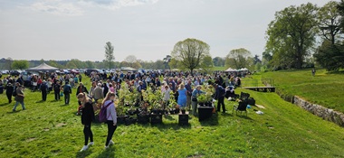 Sprint Plant Fair