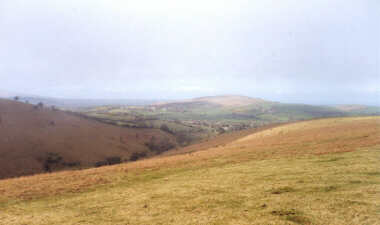 Dartmoor Moors