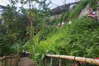 Inside the Tropical Biome