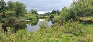 River Eden River Eden