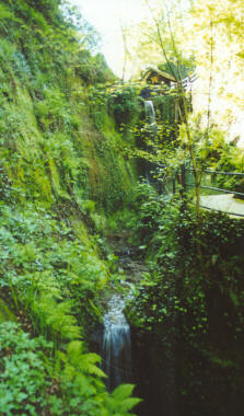 Shanklin Chine Waterfalls