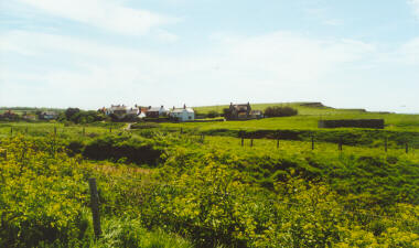 South Isle of Wight Landscape