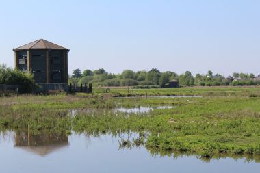 Peacock Tower