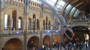 Natural History Museum