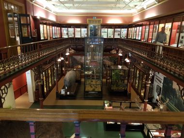 Main Atrium from Balcony