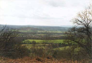 surrey2.jpg