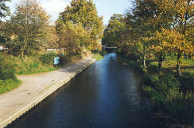 Basingstoke Canal - The other way