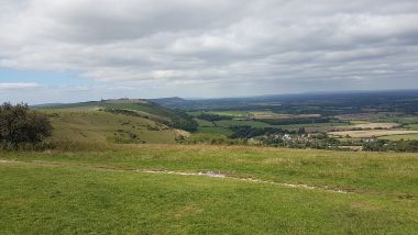 Looking North