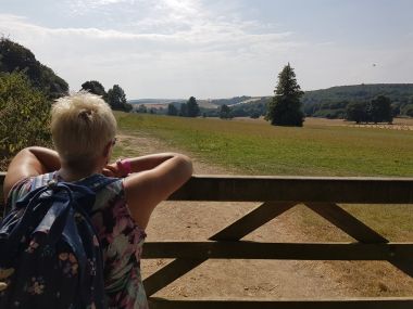 Looking Over the South Downs