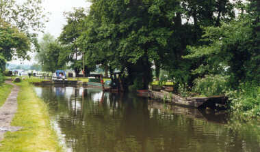 Wey Canal (Near Send)