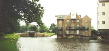 wey9.jpg