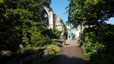 Museum Gardens