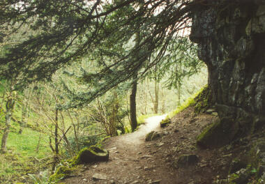 Ingleton Waterfalls Walk