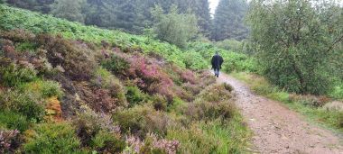 Walking (Path to the Kings Caves)