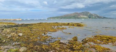 Holy Island